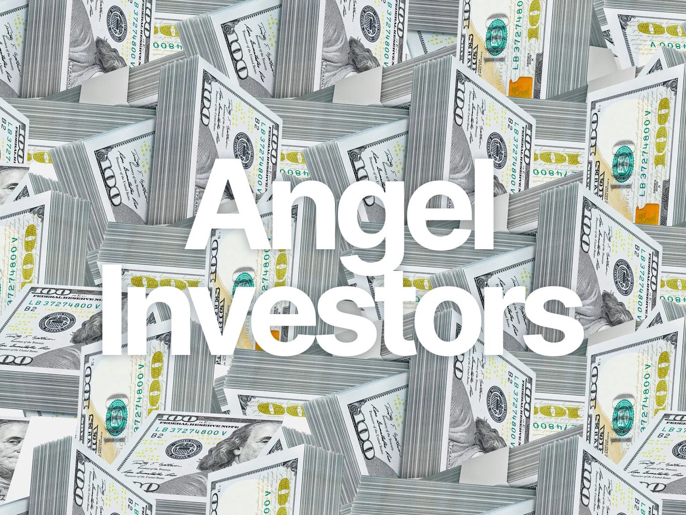 Angel Investor Agreement